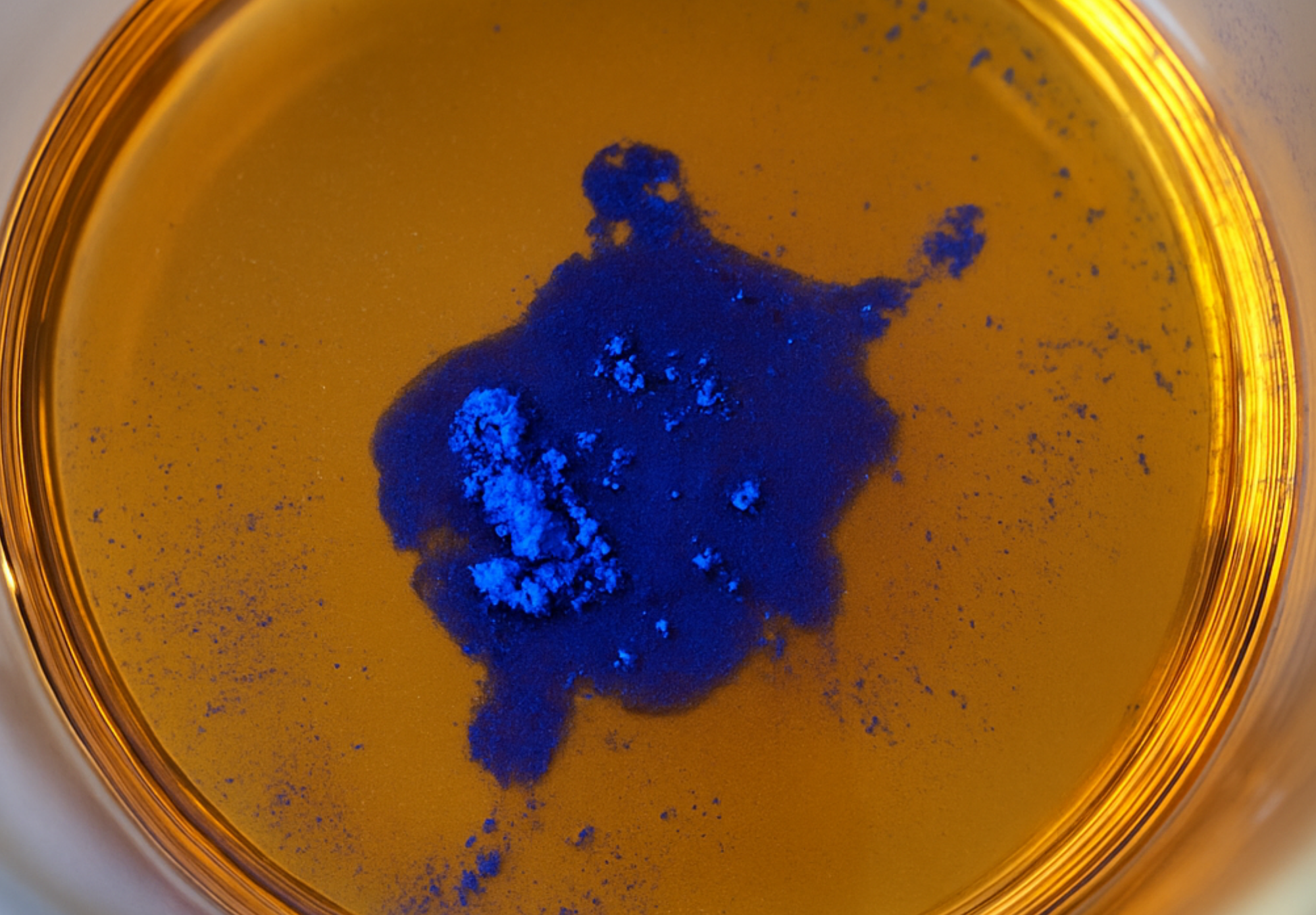 naturlig hudpleje i Susila Skincare studie – små batches for friskhed og kvalitet